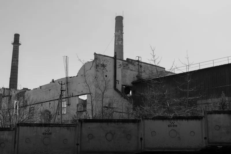 Dalle macerie al fiore: come il dolore collettivo diventa seme di comunità